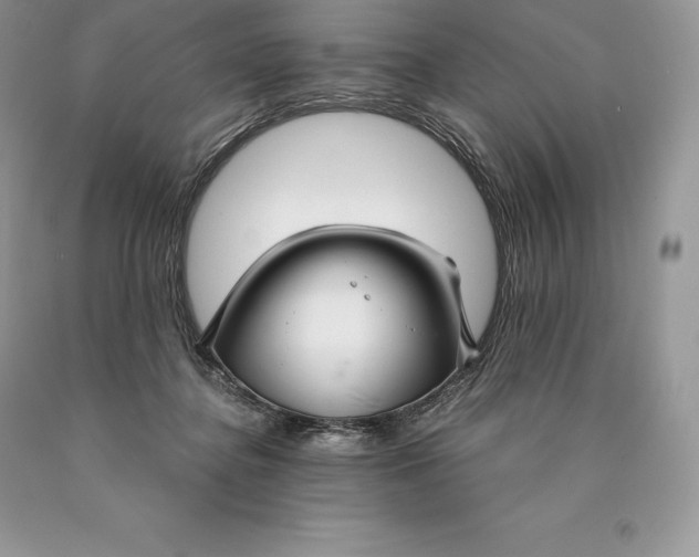 X0000089930364200707201845