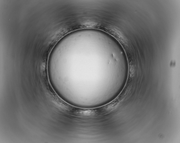 X0000089930365200707201845