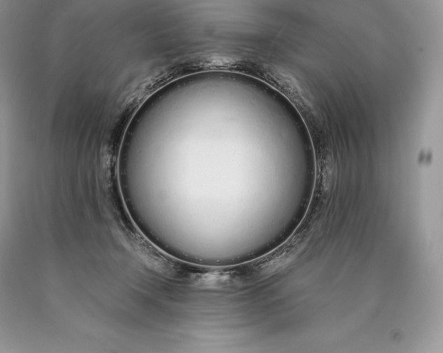 X0000089930366200707201845