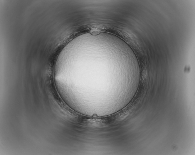 X0000089930367200707201845