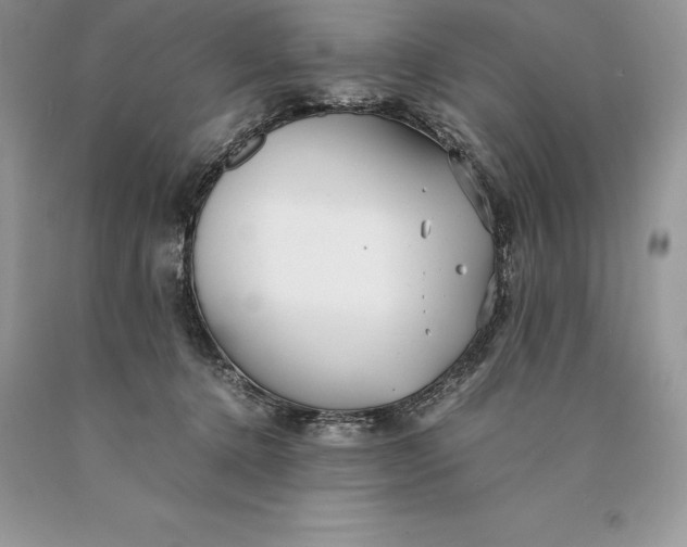 X0000089930368200707201845