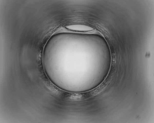 X0000089930369200707201845