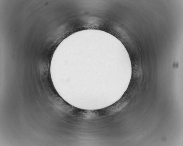 X0000089930370200707201845