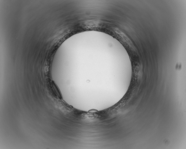 X0000089930372200707201845