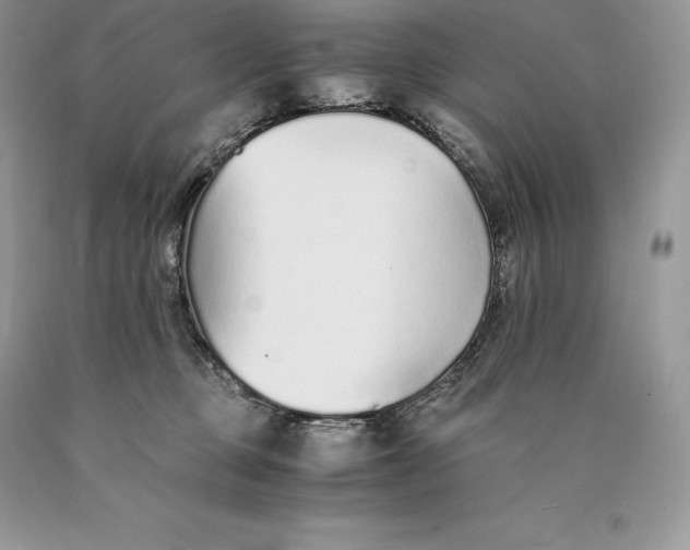 X0000089930373200707201845