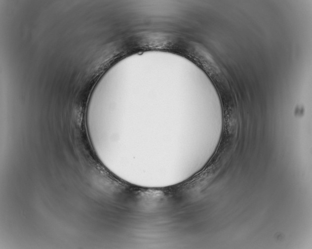 X0000089930374200707201845