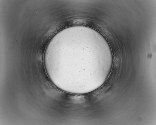 X0000089930375200707201845