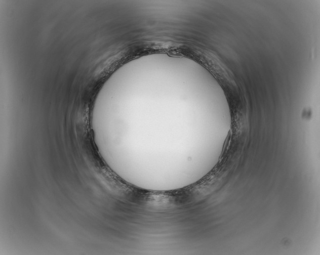 X0000089930376200707201845