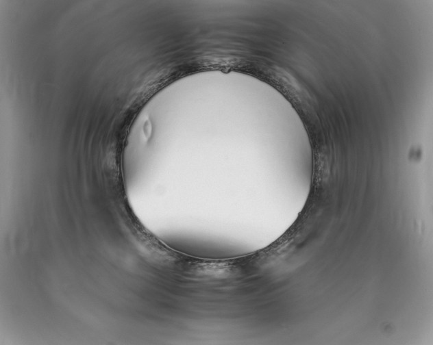 X0000089930377200707201845