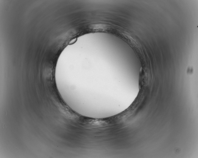 X0000089930379200707201845