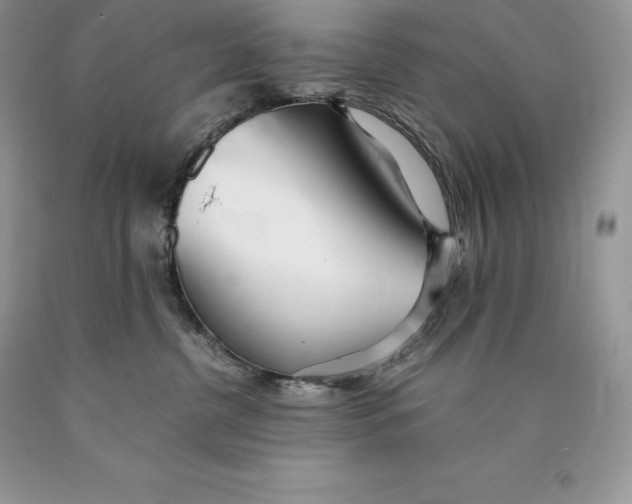 X0000089930380200707201845