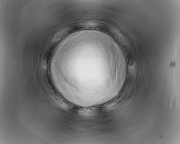 X0000089930381200707201846