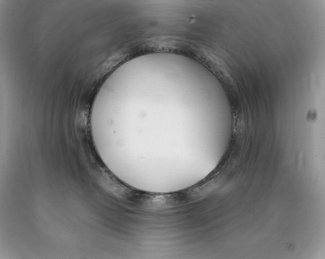 X0000089930382200707201846