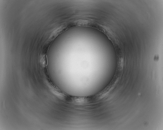 X0000089930383200707201846