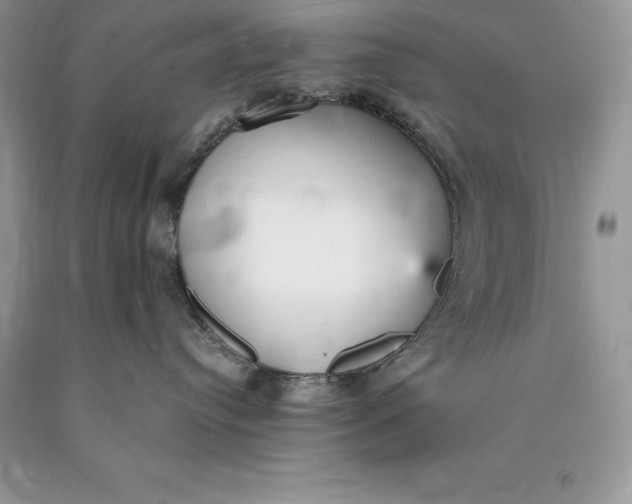 X0000089930384200707201846