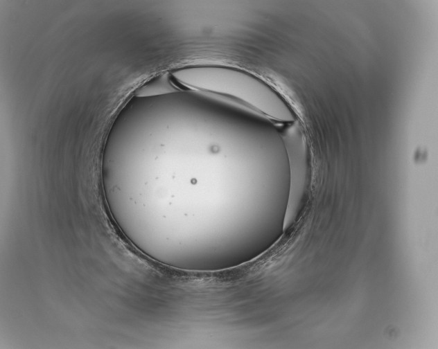 X0000089930385200707201845