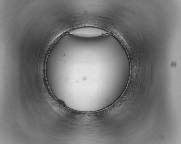 X0000089930386200707201845