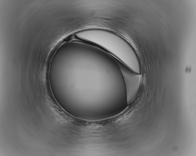 X0000089930387200707201845