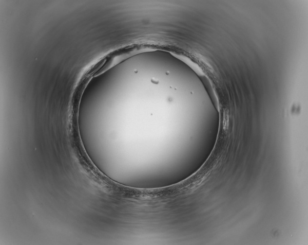 X0000089930388200707201845