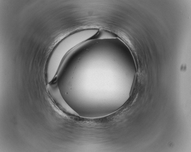 X0000089930389200707201845