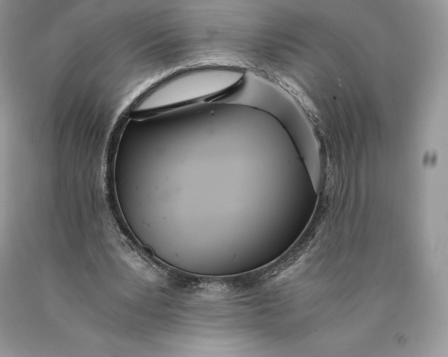 X0000089930391200707201845