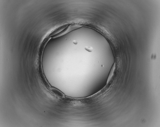 X0000089930392200707201845