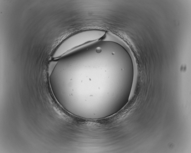 X0000089930393200707201845