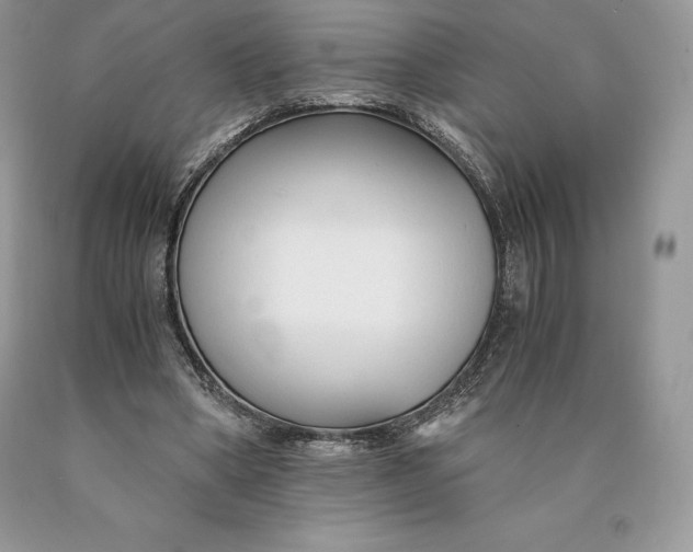 X0000089930394200707201845