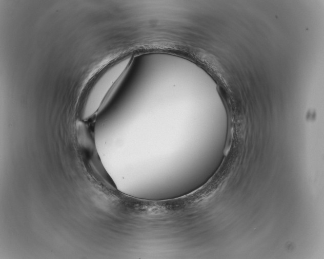 X0000089930395200707201845