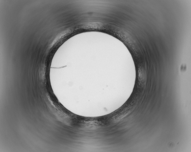 X0000089930396200707201845