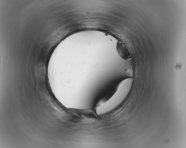 X0000089930397200707201845