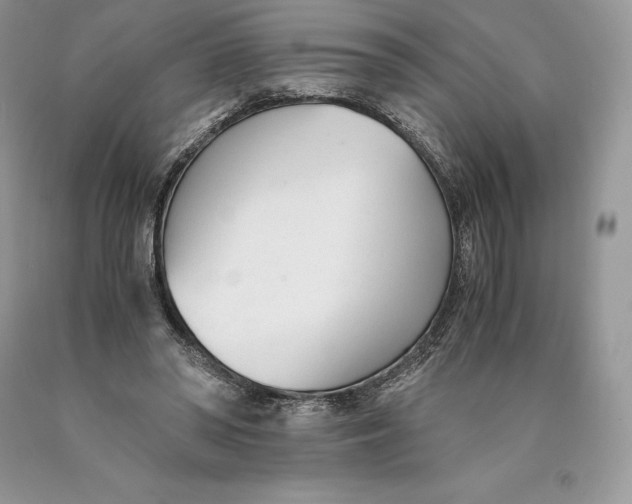 X0000089930398200707201845