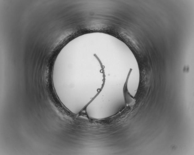 X0000089930400200707201845