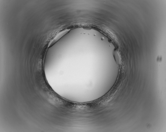 X0000089930401200707201845