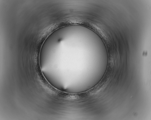 X0000089930402200707201845