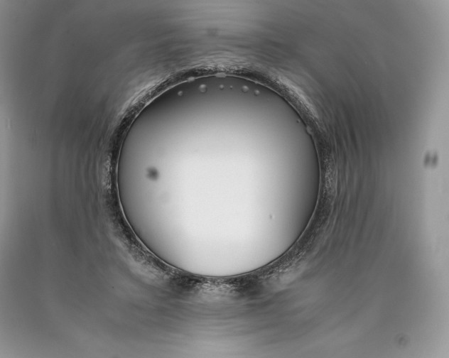 X0000089930403200707201845