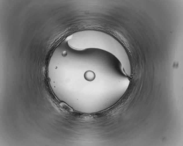 X0000089930405200707201845