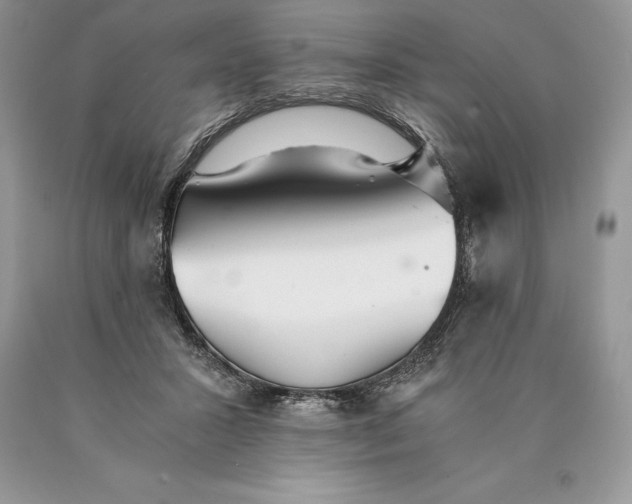 X0000089930407200707201845