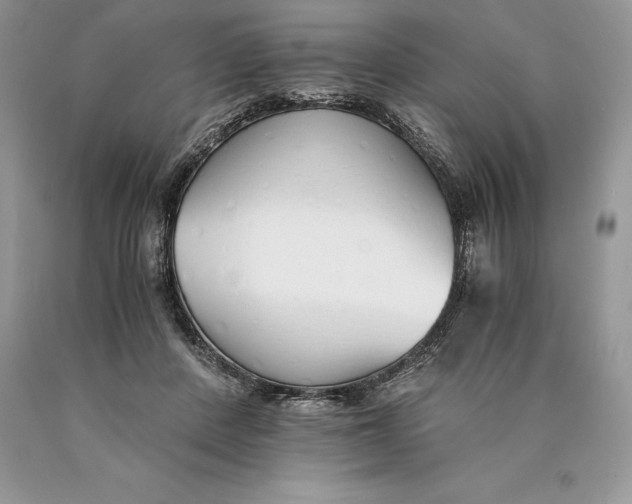 X0000089930408200707201845