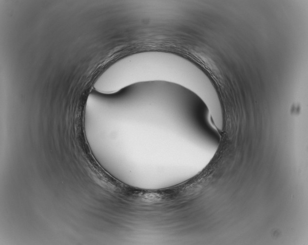 X0000089930409200707201845