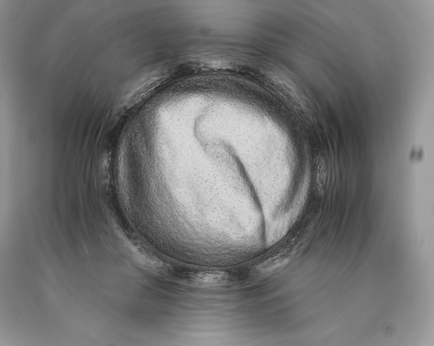 X0000089930410200707201845