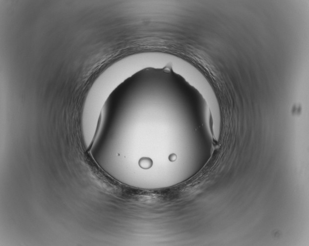 X0000089930411200707201845