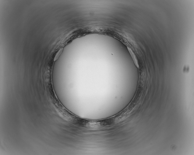 X0000089930413200707201844