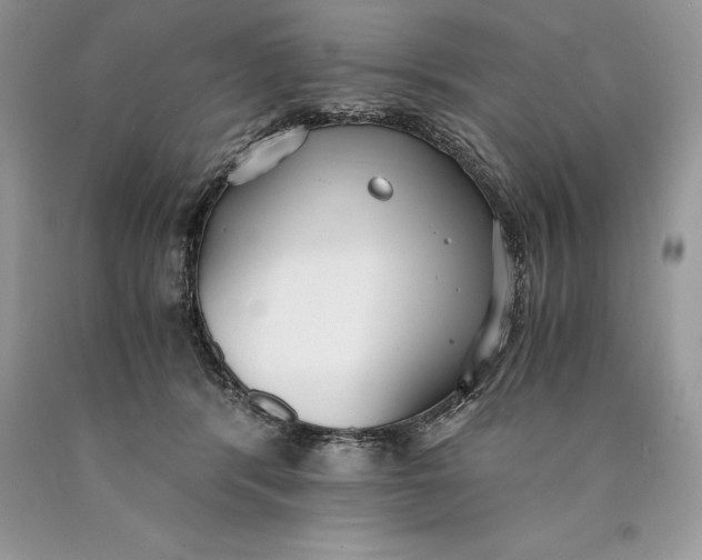 X0000089930416200707201844