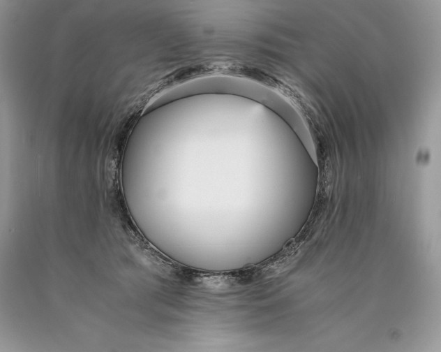 X0000089930417200707201844