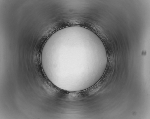 X0000089930418200707201844