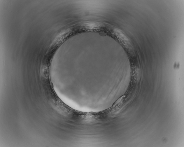 X0000089930419200707201844