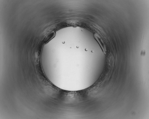 X0000089930420200707201844