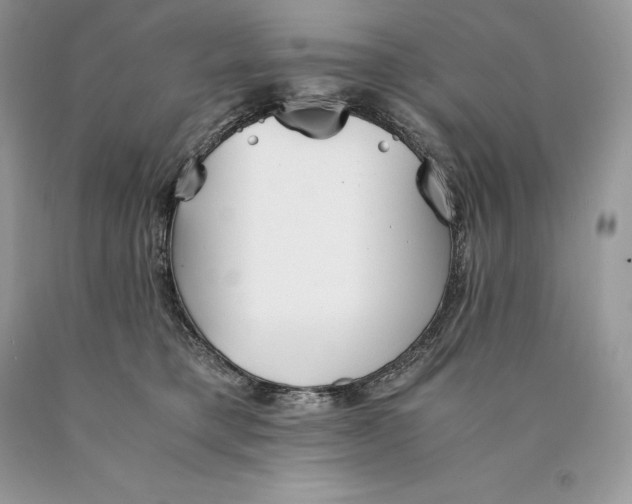 X0000089930421200707201844