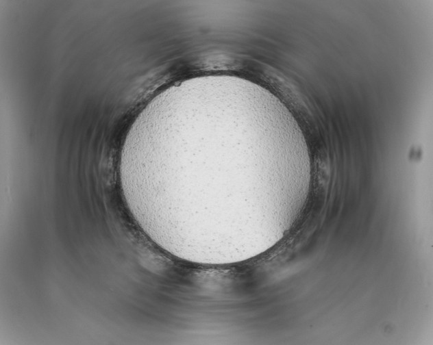 X0000089930422200707201844